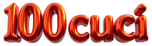 100 cuci logo